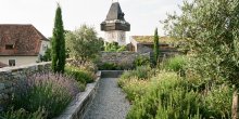 Gartengestaltung in Graz 2026: Klimaangepasste Pflanzen und aktuelle Trends